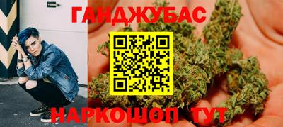 индика Гусь-Хрустальный