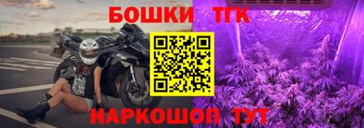 индика Гусь-Хрустальный