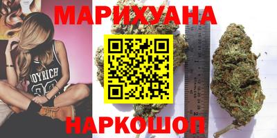 прущие грибы Гусиноозёрск