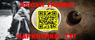 индика Гусь-Хрустальный