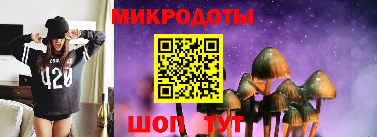 Кисловодск  Псилоцибиновые грибы Psilocybe  Вход с VPN 